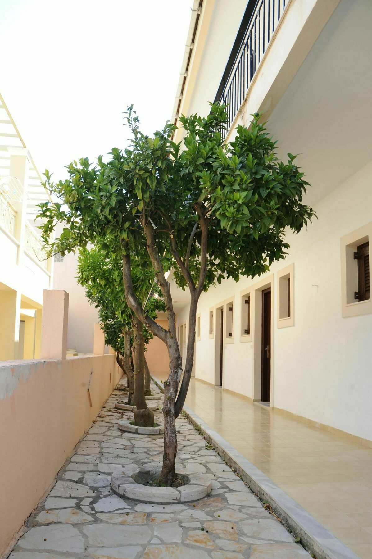 Apartment Three Seasons Kávos